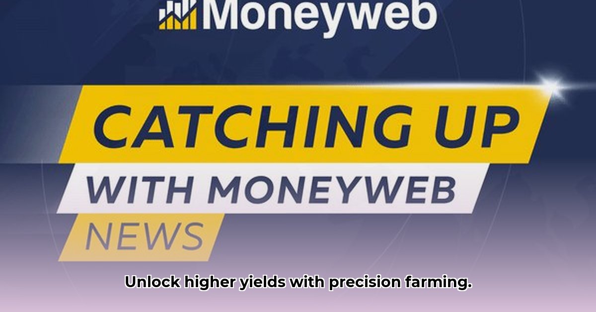 moneyweb
